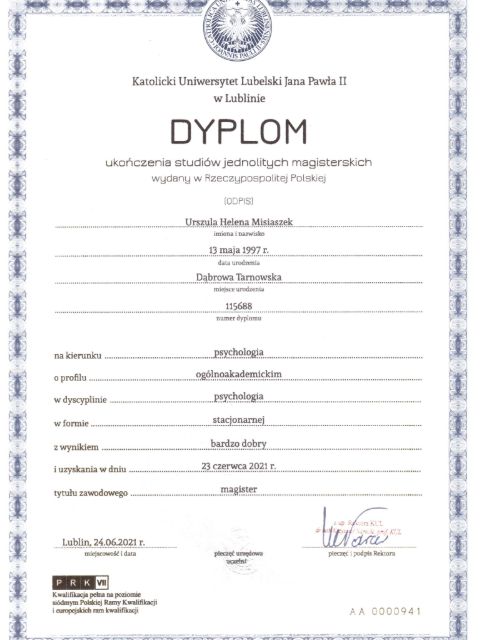 Powiększ obraz: certificate 1