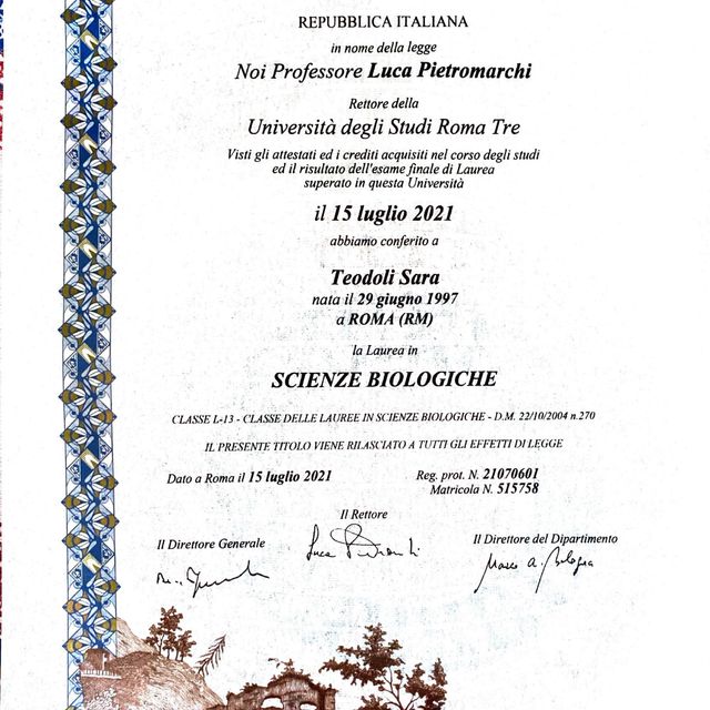 Ingrandire l'immagine: certificate 1