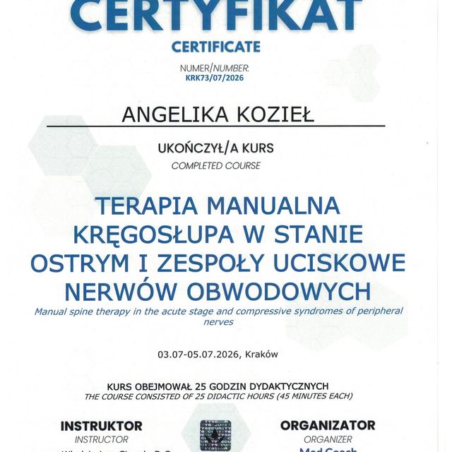 Powiększ obraz: certificate 1
