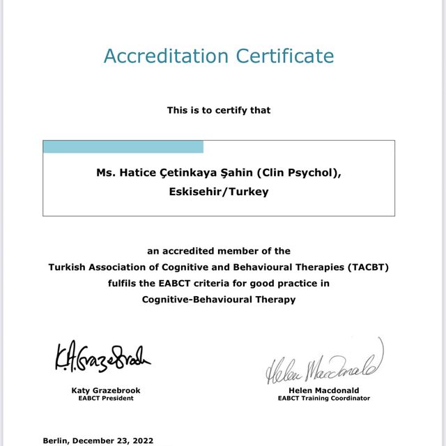 Resmi büyüt: certificate 3