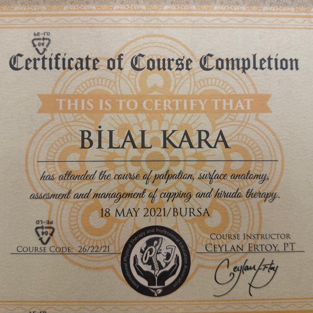Resmi büyüt: certificate 1