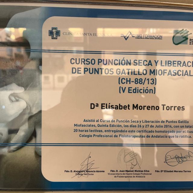 Acercar imagen: certificate 10