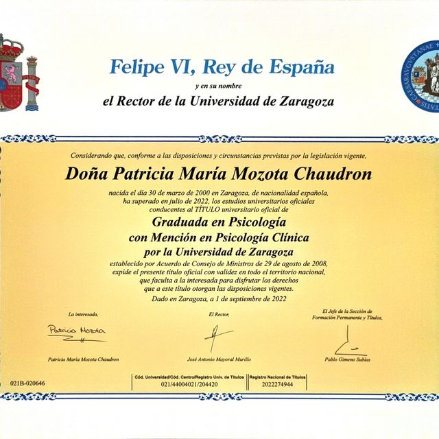 Acercar imagen: certificate 1