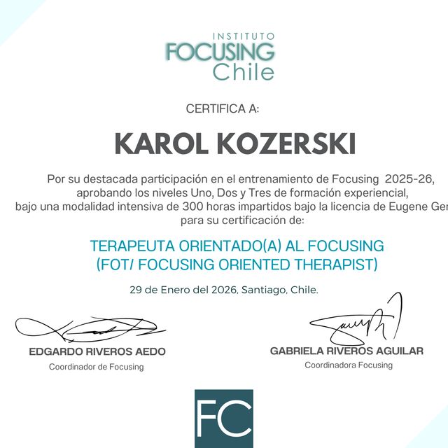 Powiększ obraz: certificate 4