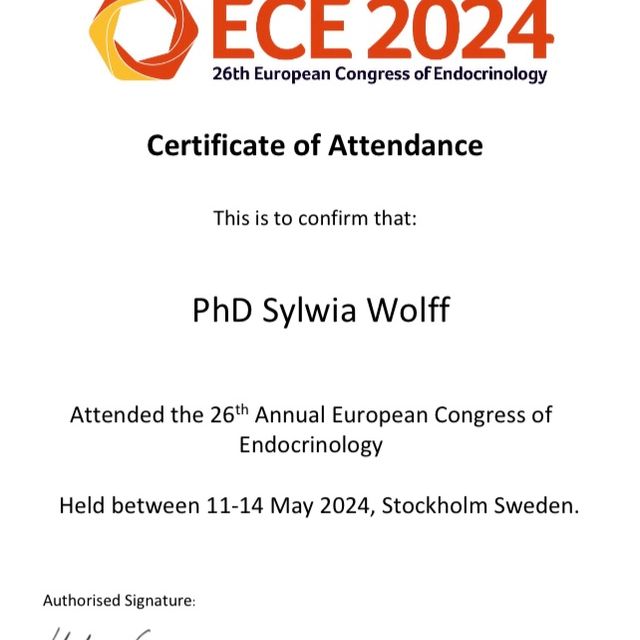 Powiększ obraz: certificate 15