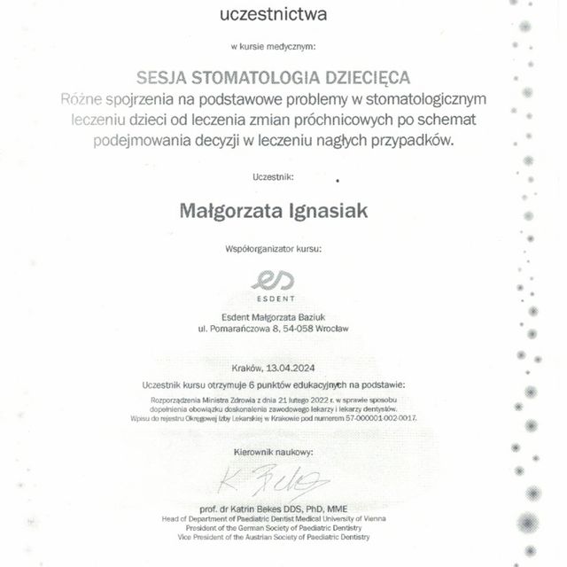 Powiększ obraz: certificate 4