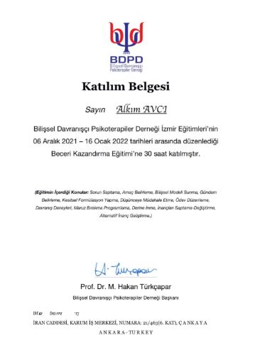 Resmi büyüt: certificate 1