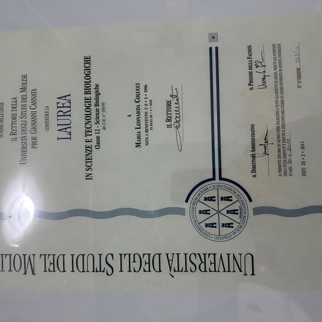 Ingrandire l'immagine: certificate 3