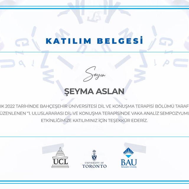 Resmi büyüt: certificate 8