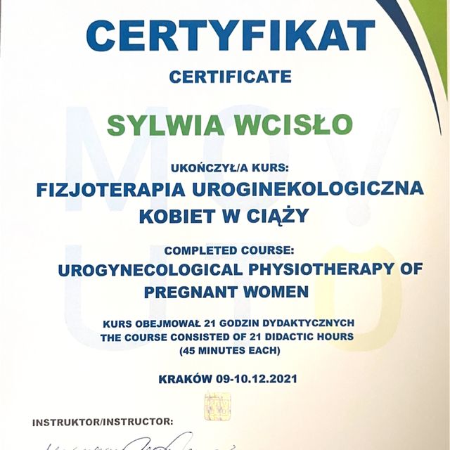 Powiększ obraz: certificate 26