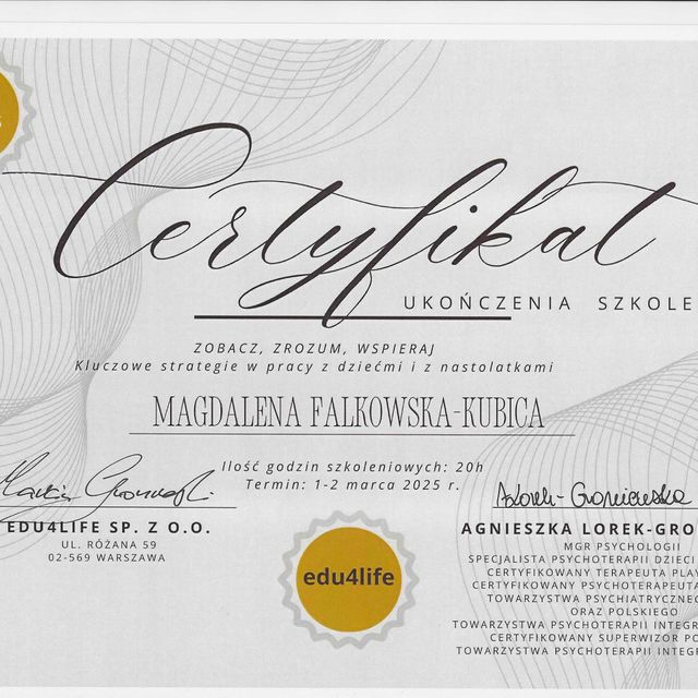 Powiększ obraz: certificate 2
