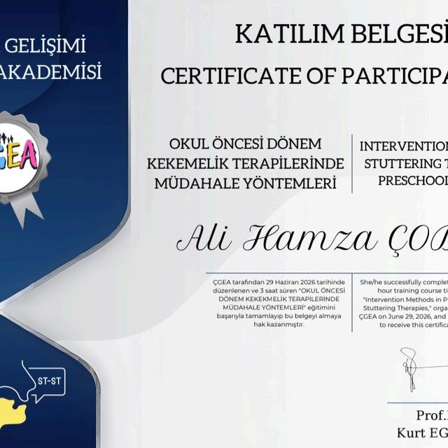 Resmi büyüt: certificate 8