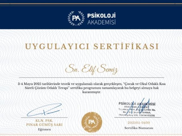 Resmi büyüt: certificate 2