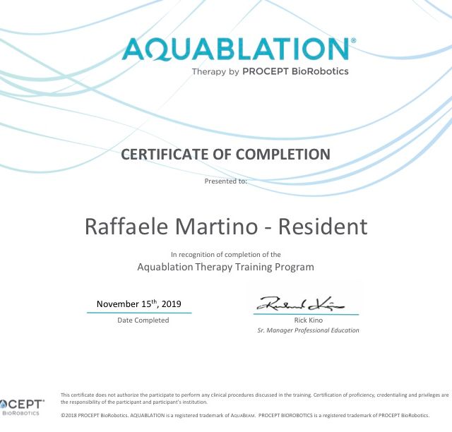 Ingrandire l'immagine: certificate 3