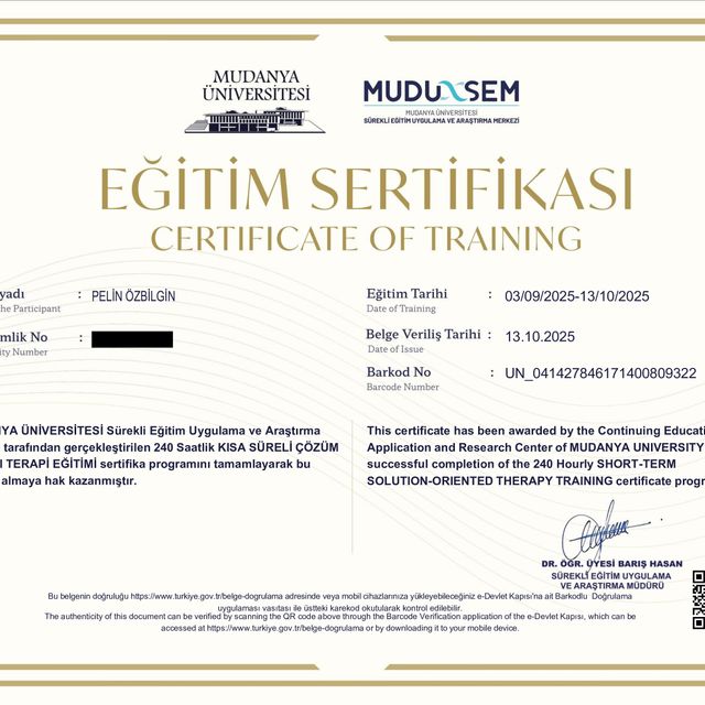 Resmi büyüt: certificate 3
