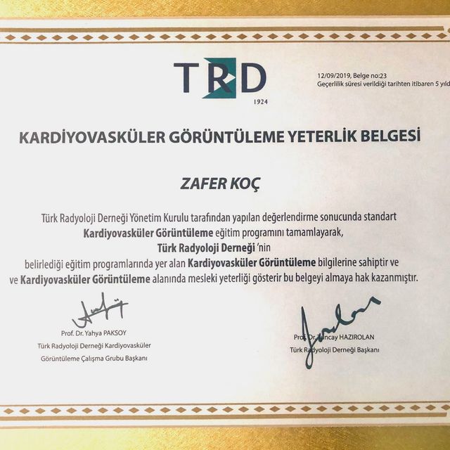 Resmi büyüt: certificate 6