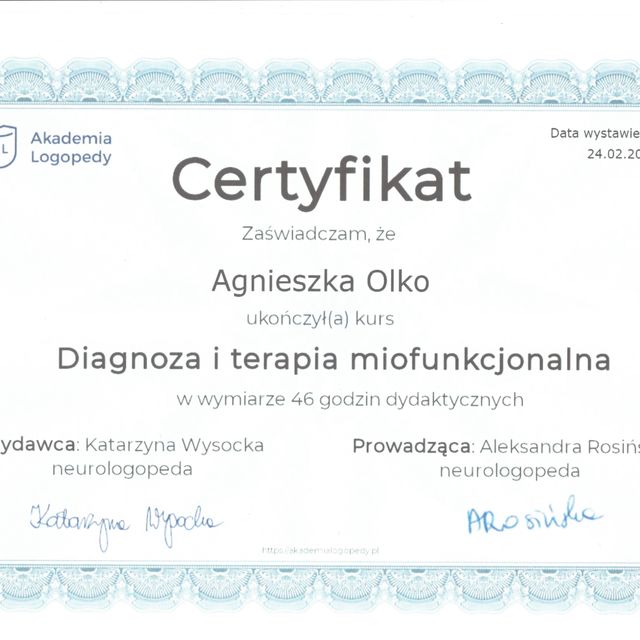 Powiększ obraz: certificate 1