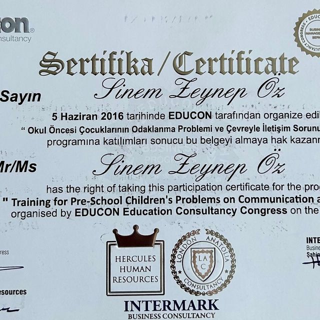 Resmi büyüt: certificate 1