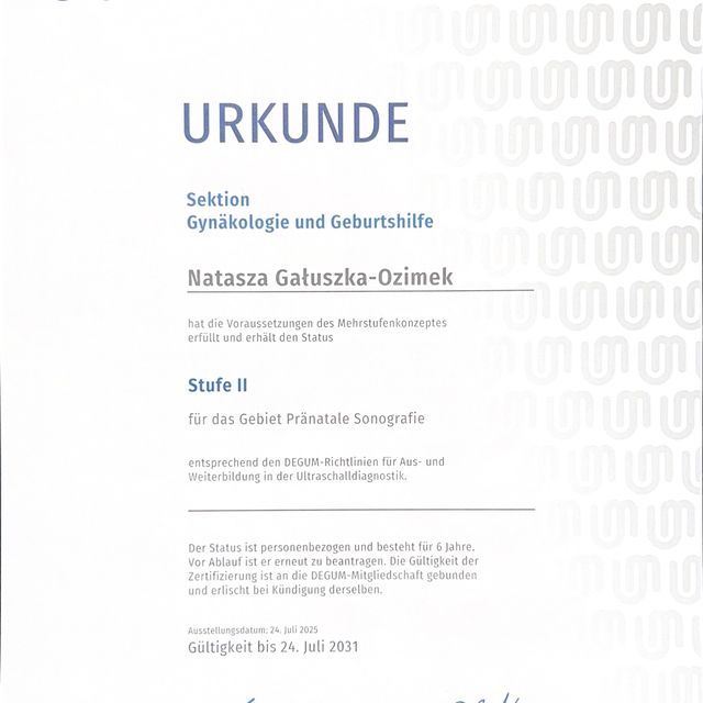 Powiększ obraz: certificate 1