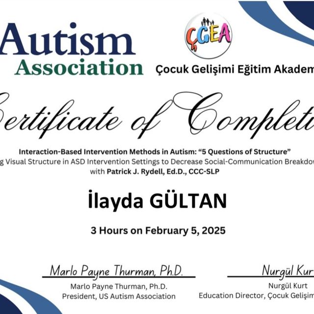 Resmi büyüt: certificate 2