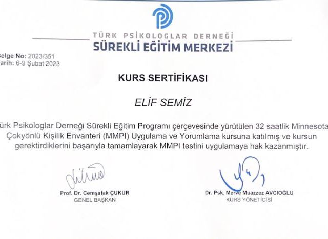 Resmi büyüt: certificate 1