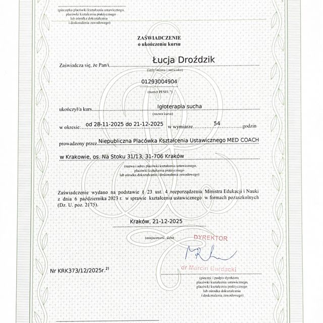 Powiększ obraz: certificate 2