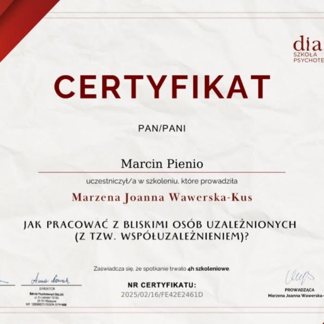 Powiększ obraz: certificate 42