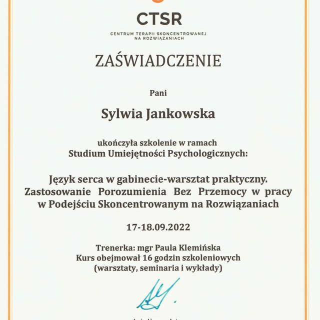 Powiększ obraz: certificate 4