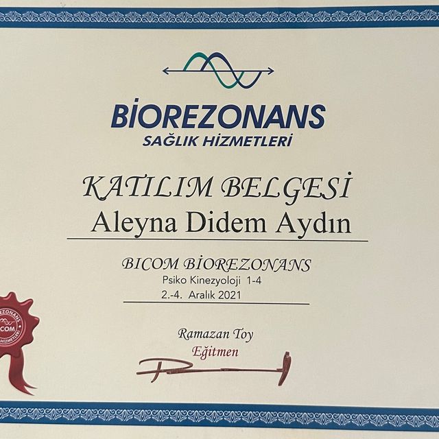 Resmi büyüt: certificate 2