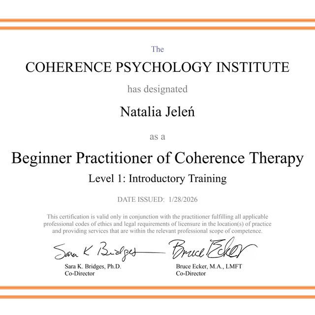 Powiększ obraz: certificate 7