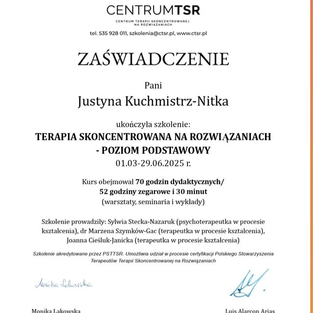 Powiększ obraz: certificate 2