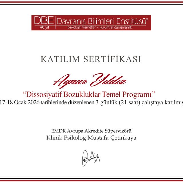Resmi büyüt: certificate 5