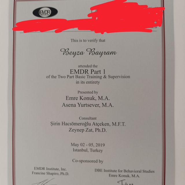 Resmi büyüt: certificate 9