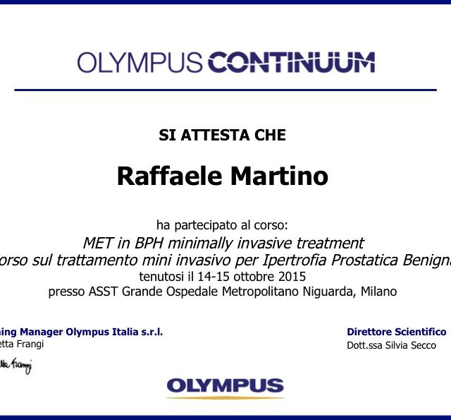 Ingrandire l'immagine: certificate 4