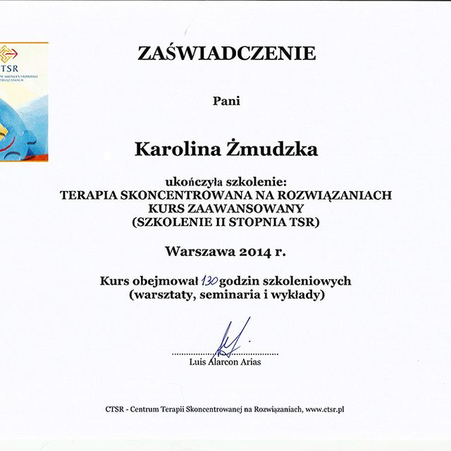 Powiększ obraz: certificate 3