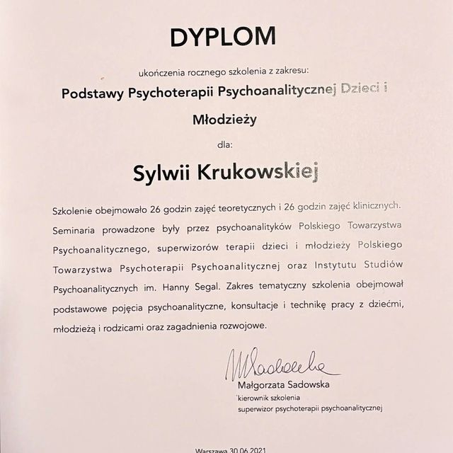 Powiększ obraz: certificate 4