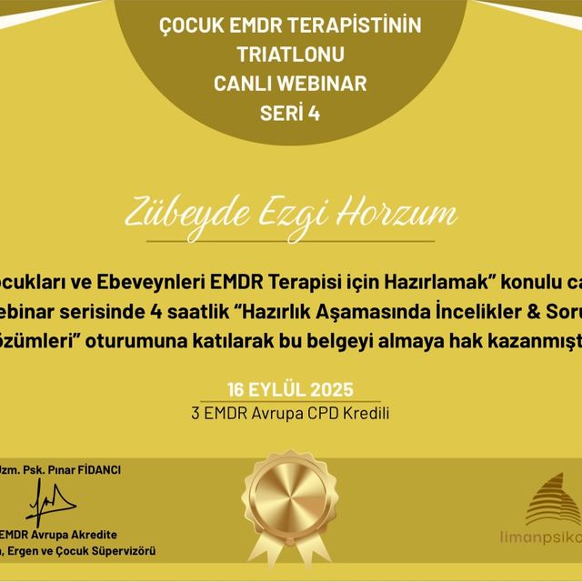 Resmi büyüt: certificate 5