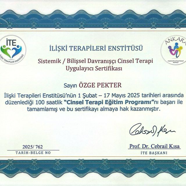 Resmi büyüt: certificate 8
