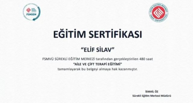 Resmi büyüt: certificate 11