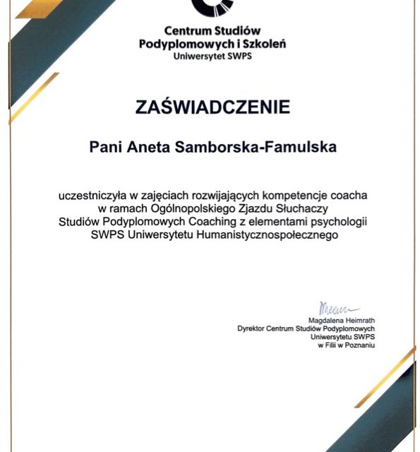 Powiększ obraz: certificate 6