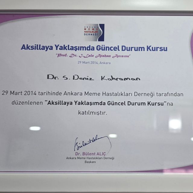Resmi büyüt: certificate 13