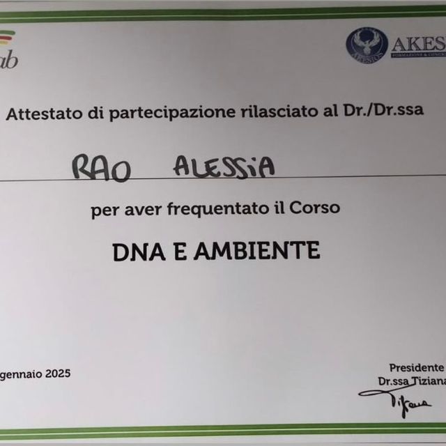 Ingrandire l'immagine: certificate 3