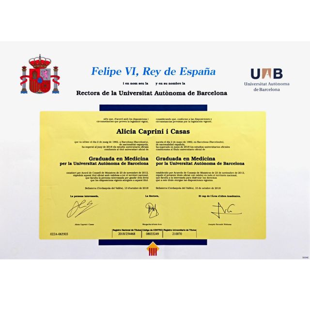Acercar imagen: certificate 6