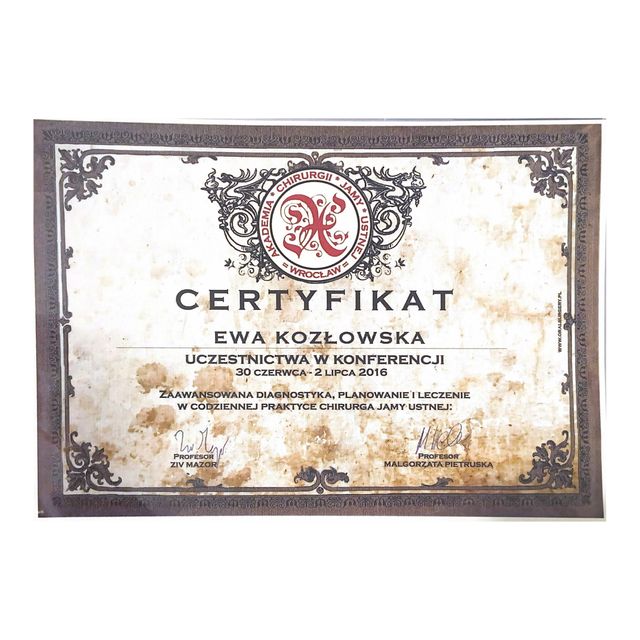 Powiększ obraz: certificate 11