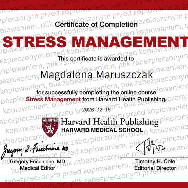 Powiększ obraz: certificate 11