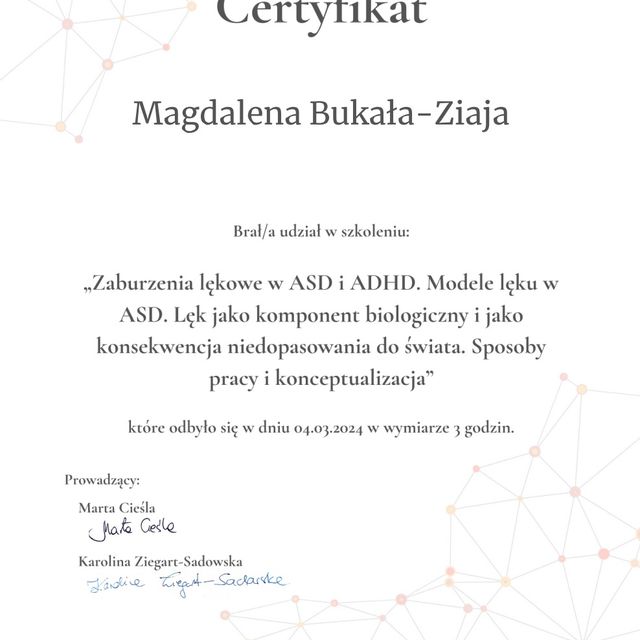 Powiększ obraz: certificate 2