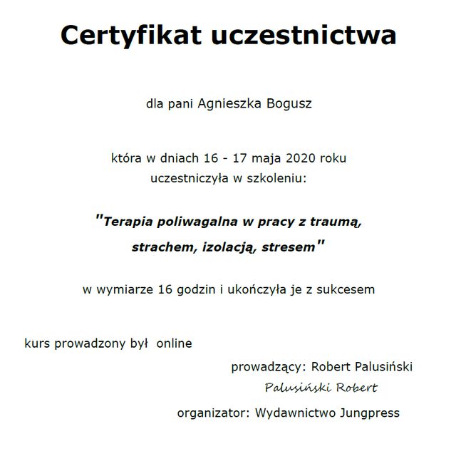 Powiększ obraz: certificate 4