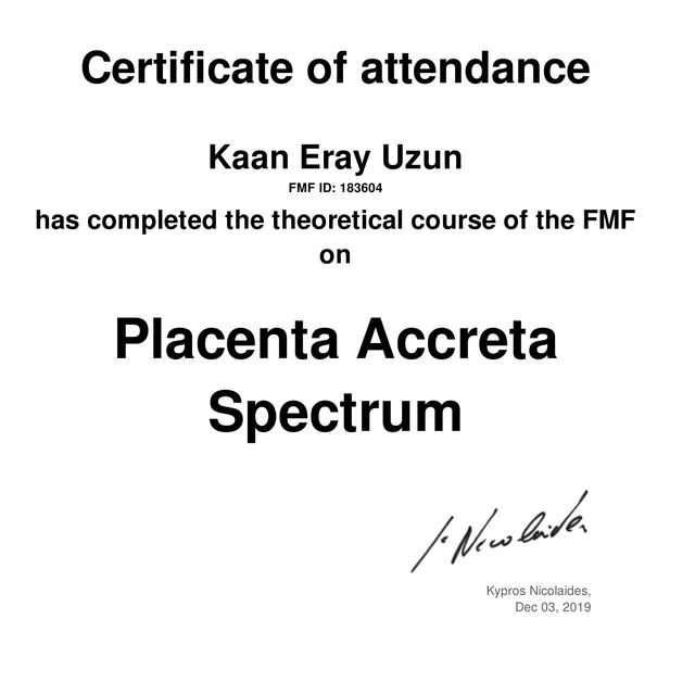 Resmi büyüt: certificate 6