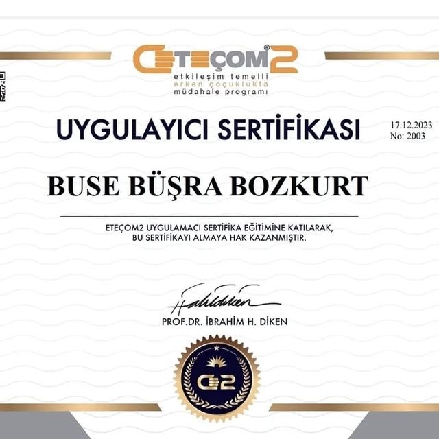 Resmi büyüt: certificate 6