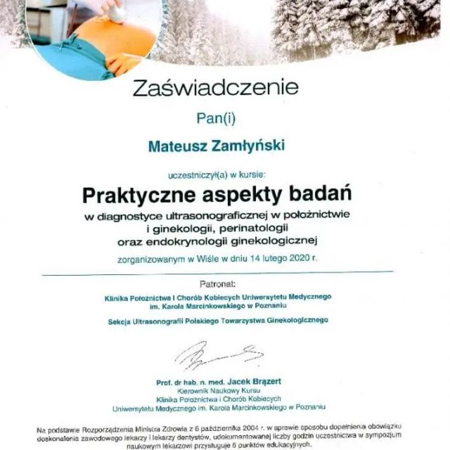 Powiększ obraz: certificate 7